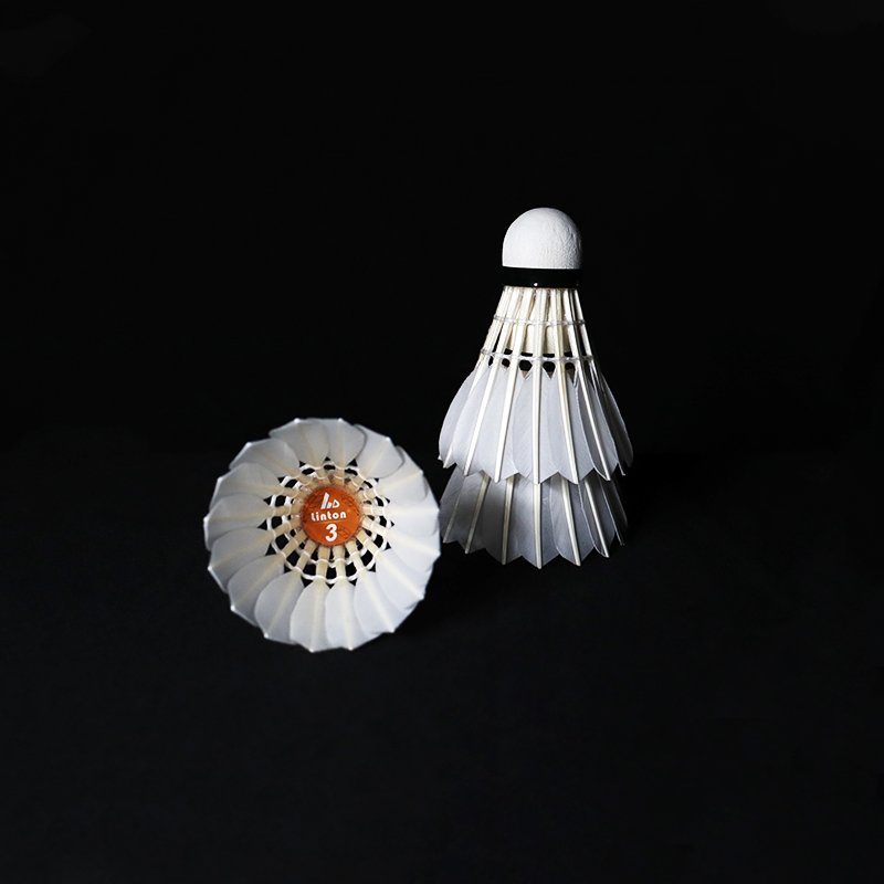 Wholesale Factory Direct Sale Popular Exercise Fitness Duck Feather Good Flight Badminton