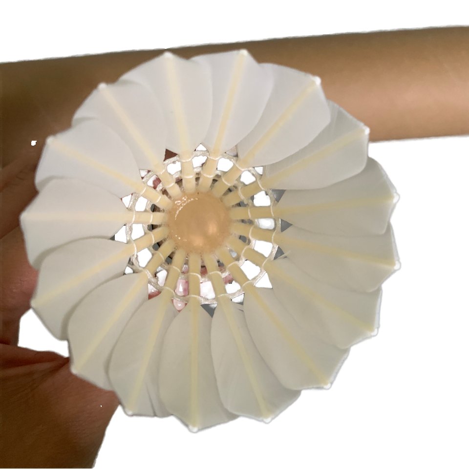 High Quality Feather Shuttlecock Popular Badminton Product Wholesale from Chinese Manufacturer