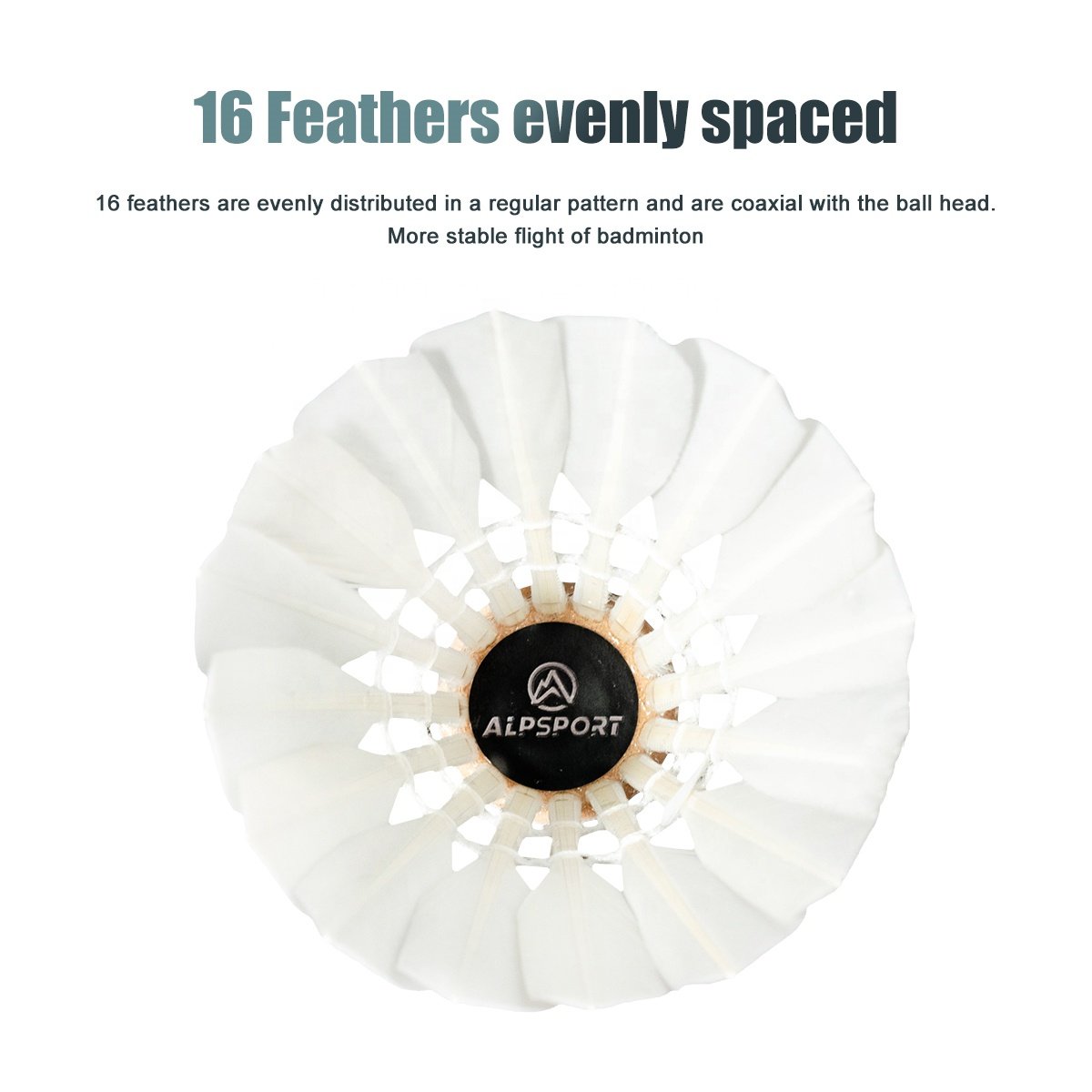 SSS-04 Duck Feather Badminton Shuttlecock 12pcs/Tube High Speed 77 Stable for Outdoor Indoor Sport Training