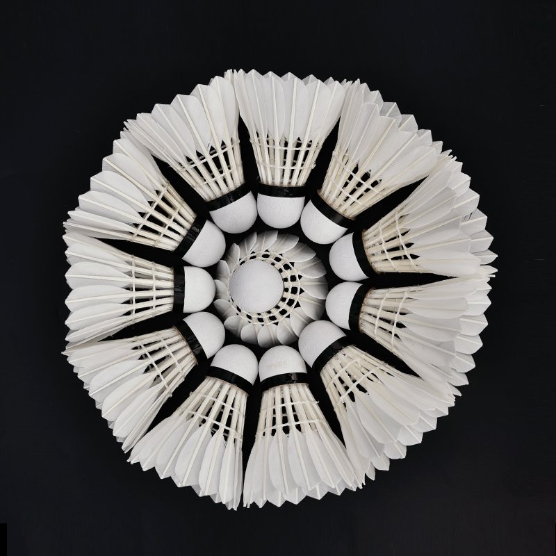 2022 Whizz Model Ze2 Top Class A Goose Feather Badminton Shuttlecock for International Tournament