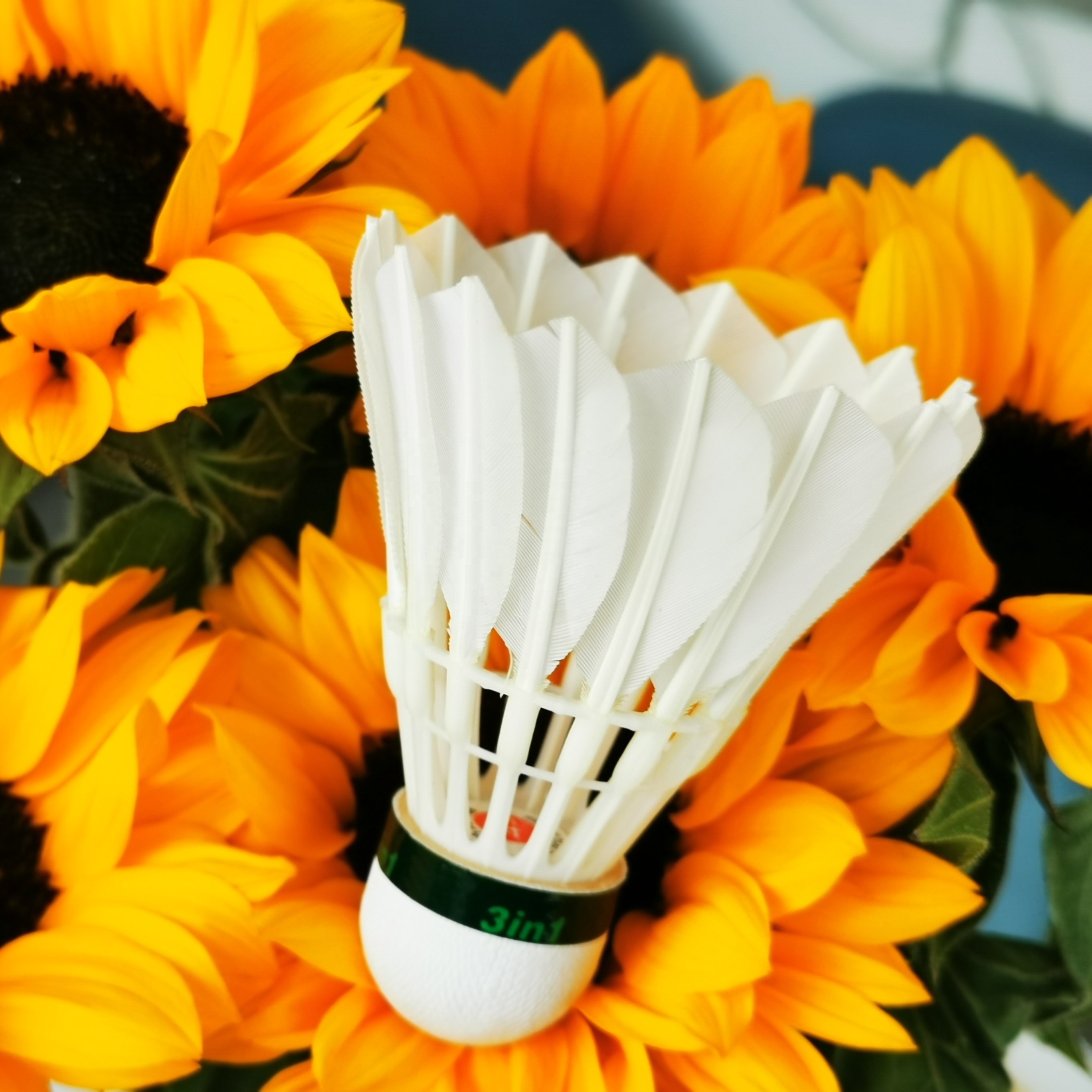 Durable Shuttle Badminton Shuttlecock 3in1 Badminton Factory China Customize Available All Use