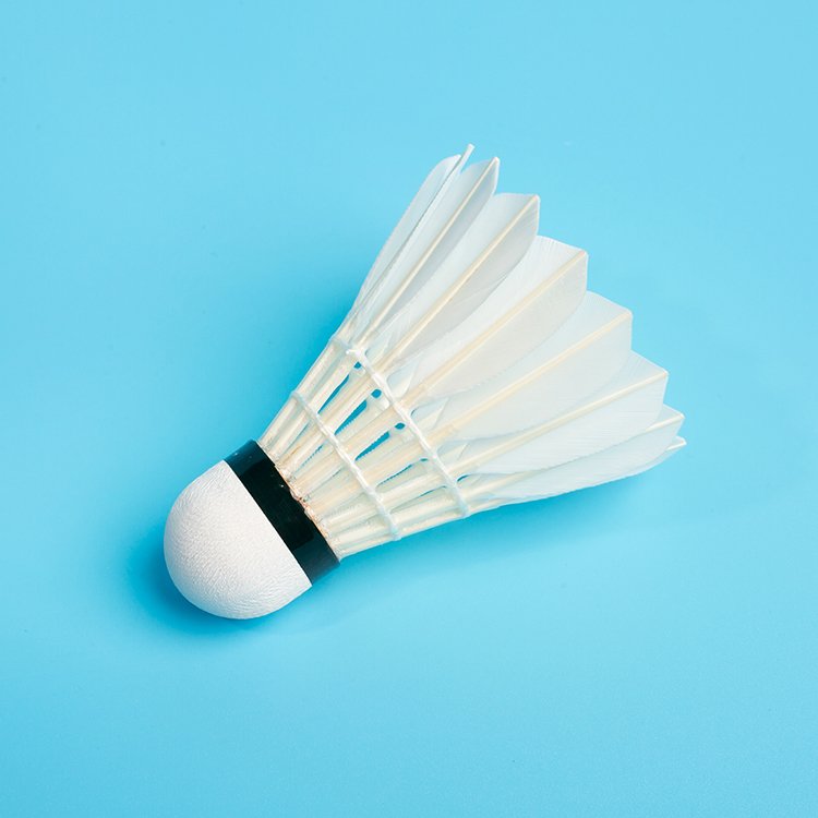 TCX9000 Yellow International Tournament Grade Goose Feather Badminton Shuttlecock