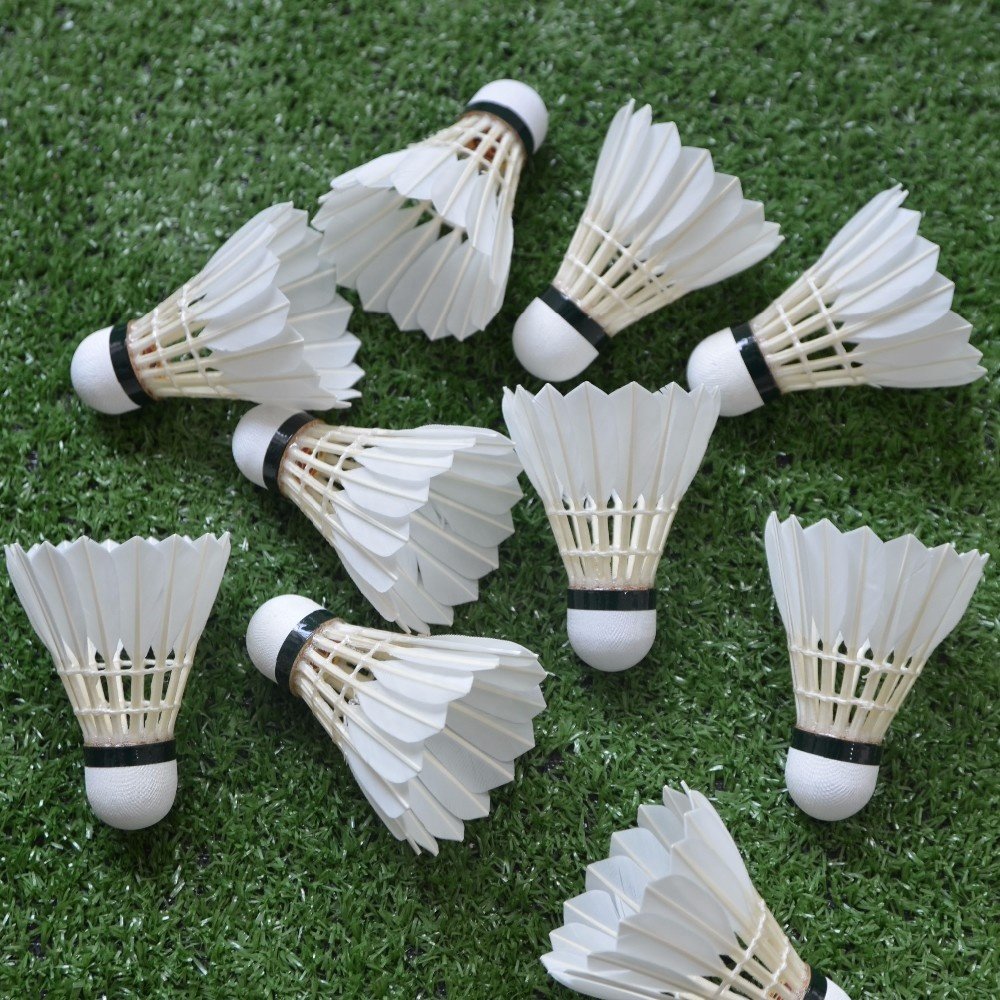 BWF team sports shuttlecock badminton for training shuttlecocks LINGMEI 70