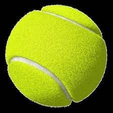 High Quality Pressurized Training Cricket Tennis Padel Ball Best Quality Tennis Balls