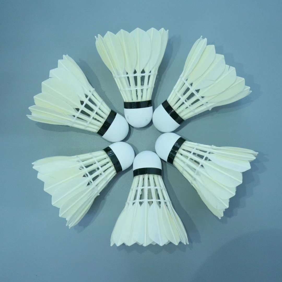Professional Grade 6pcs per Tube Goose Feather Straight Badminton Shuttlecock Super Durable for professional Training