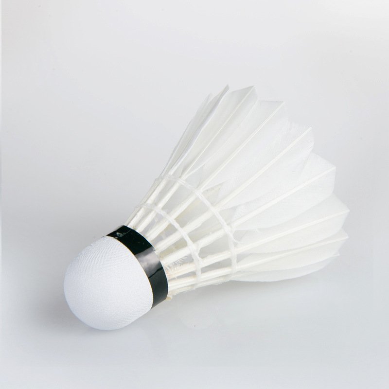 Badminton can play white goose feather badminton student family entertainment training ball