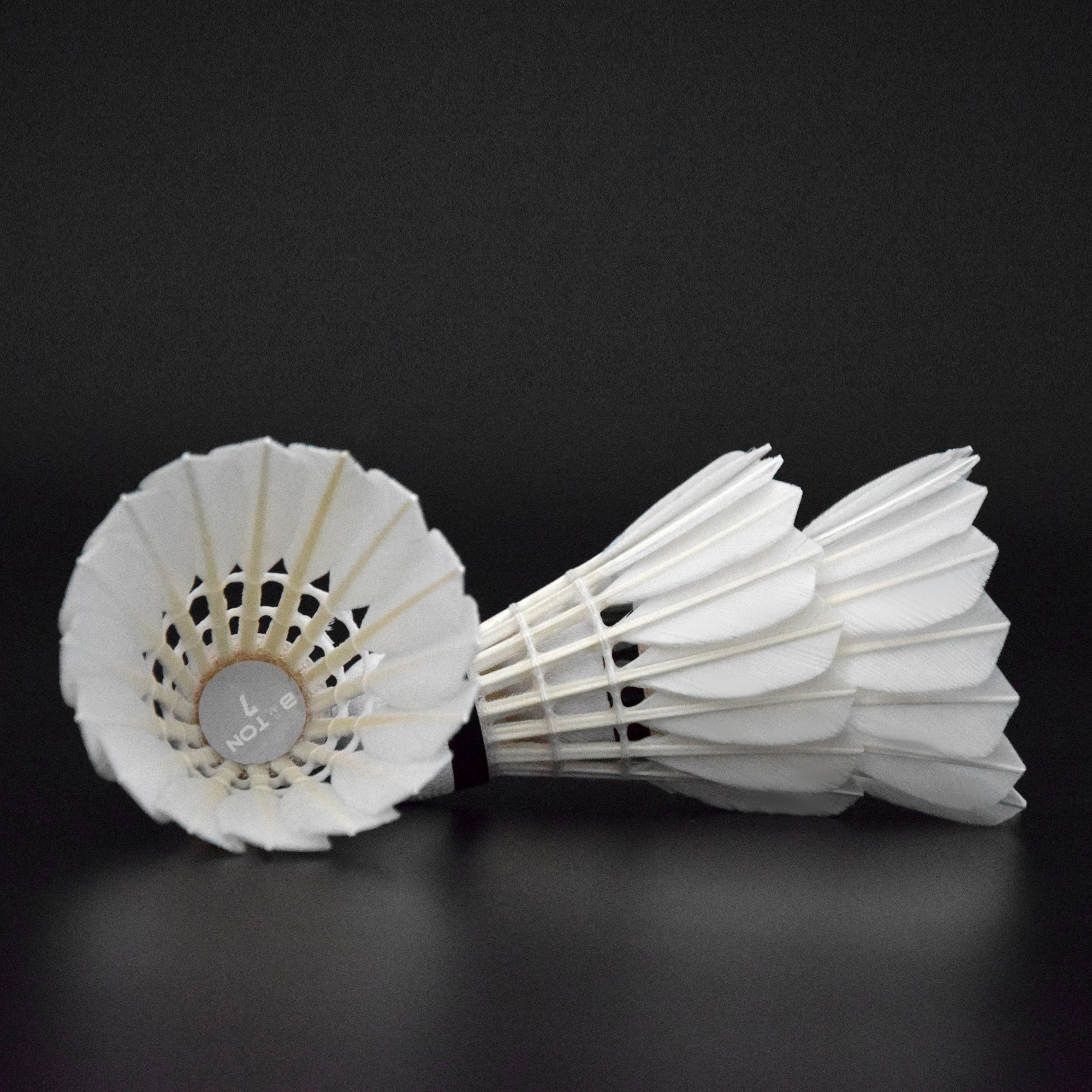 Badminton Goose Feather For Training Cheap Price Hot Sale In Cambodian Market Goose Durable Badminton