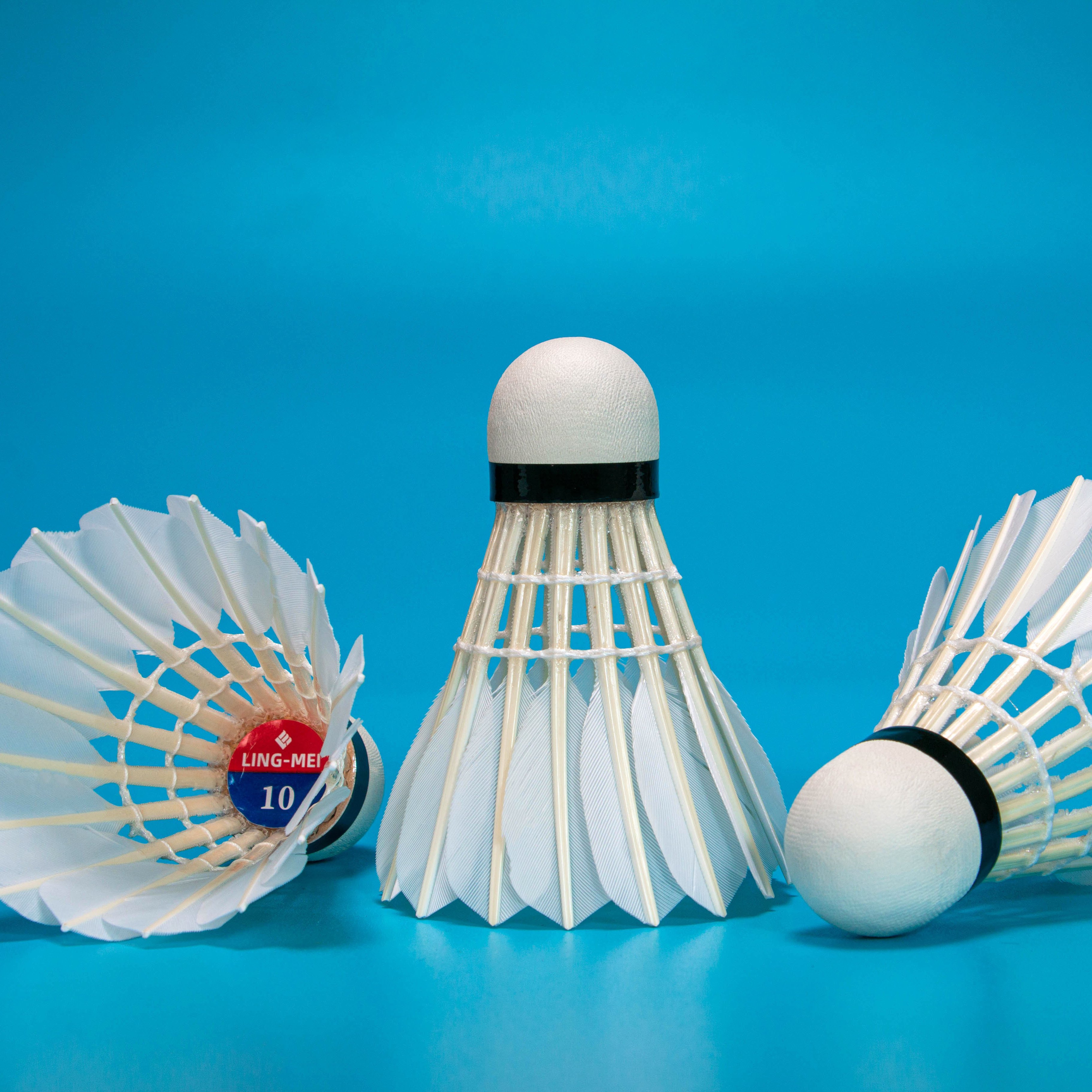 Wholesale Brand Durable Goose Feather Badminton Shuttlecocks Lingmei 10