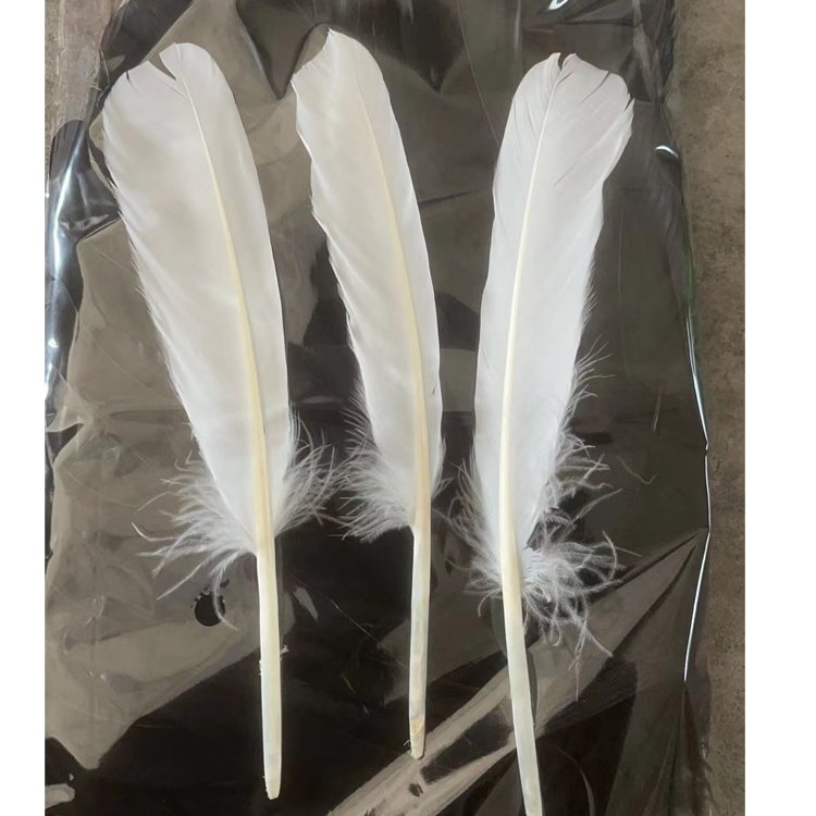Chinese factories wholesale white goose feather knife feathers used to make badminton shuttlecock