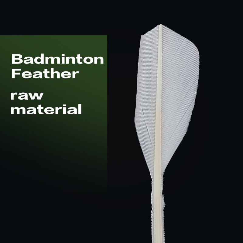 Durable Half Feathered Duck Class a Badminton Ball OEM Shuttlecocks with Cork Head for Training