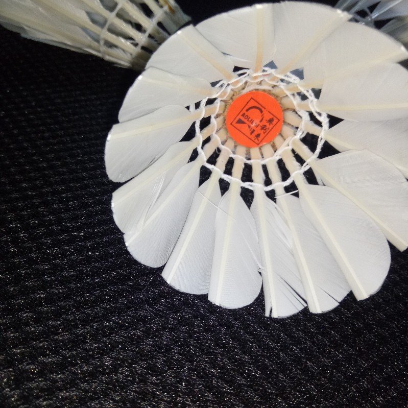 Hot Selling Wholesale Shuttlecock Badminton Goose Feather Material Good Quality Badminton Shuttle cock for Playing