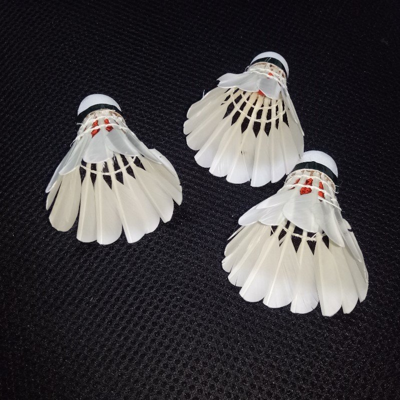 Hot Selling Wholesale Shuttlecock Badminton Goose Feather Material Good Quality Badminton Shuttle cock for Playing