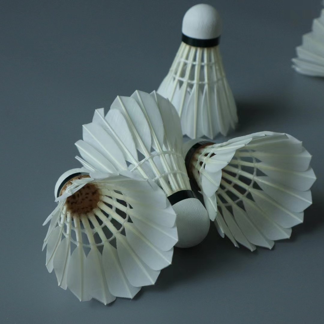 Best Most Durable 12-Piece Chinese Goose Feather Badminton Professional Training Tournament Shuttlecock G2
