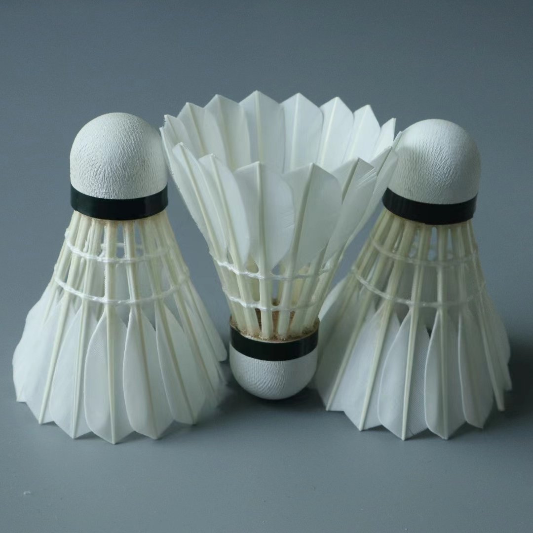 Best Most Durable 12-Piece Chinese Goose Feather Badminton Professional Training Tournament Shuttlecock G2