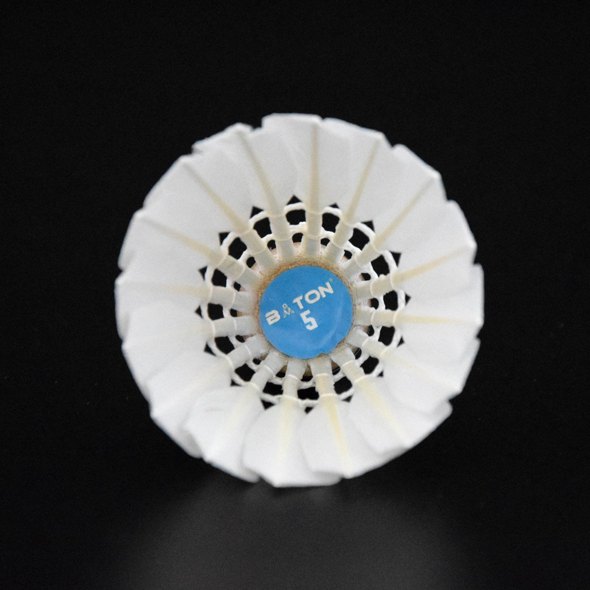 Wholesale Duck Feather Badminton Shuttlecock for Training