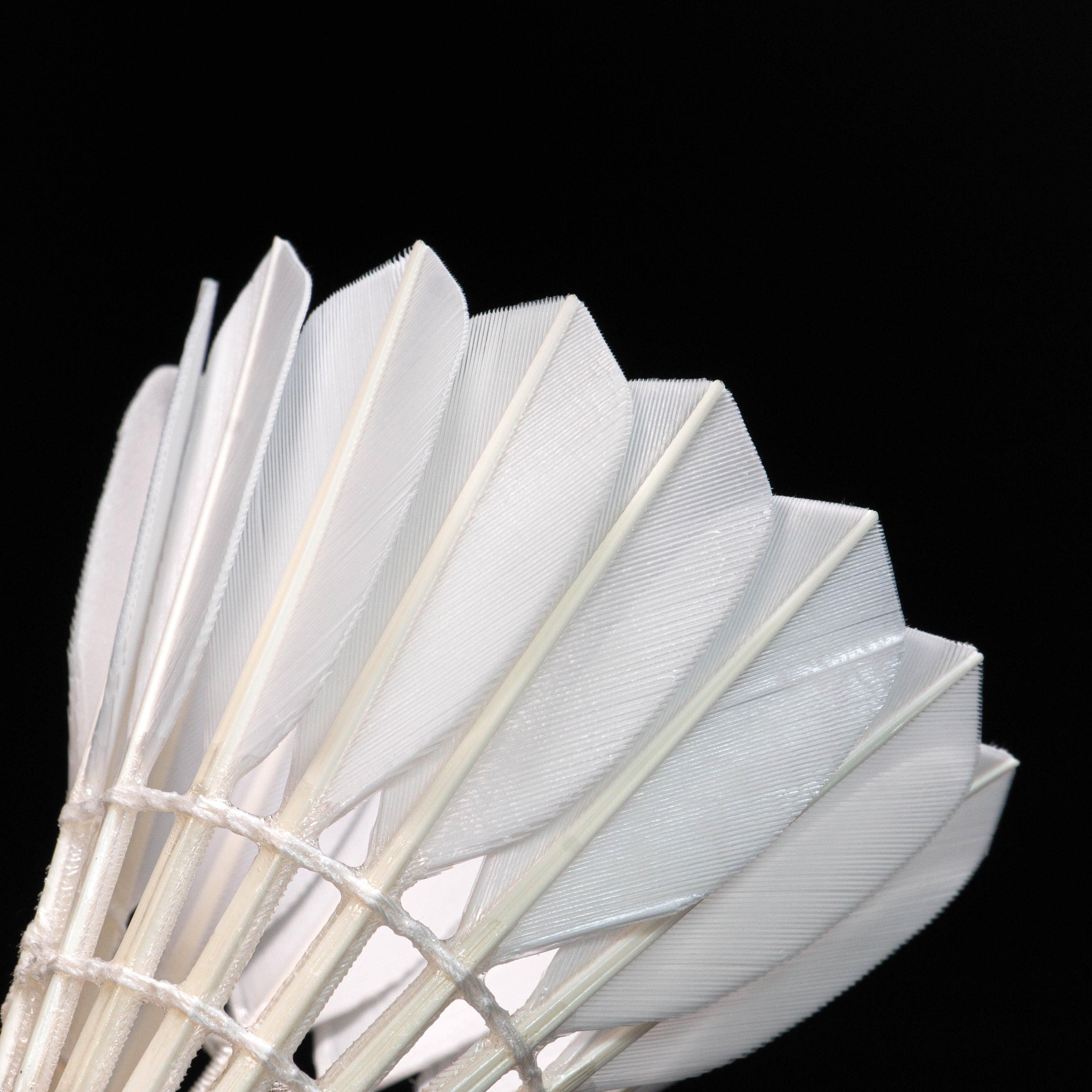 OEM badminton Shuttlecock Best Durability flying Grade 1 straight goose feather shuttlecock for tournament 12pcs