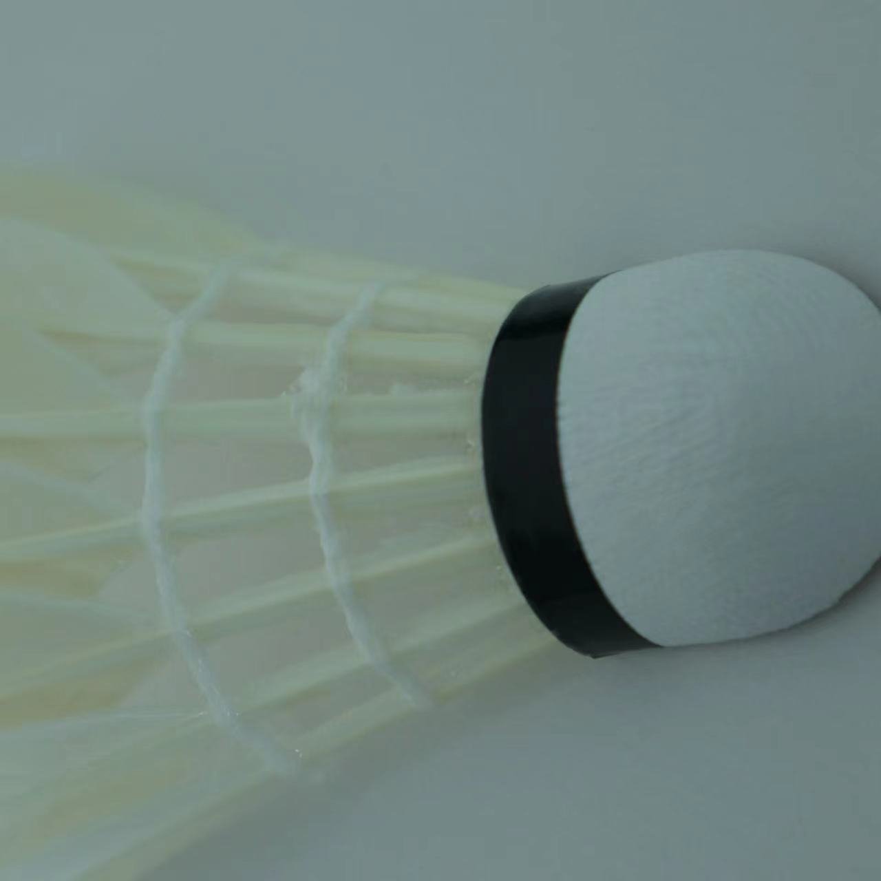 Pro grade goose feather shuttlecock Goose feather shuttlecocks