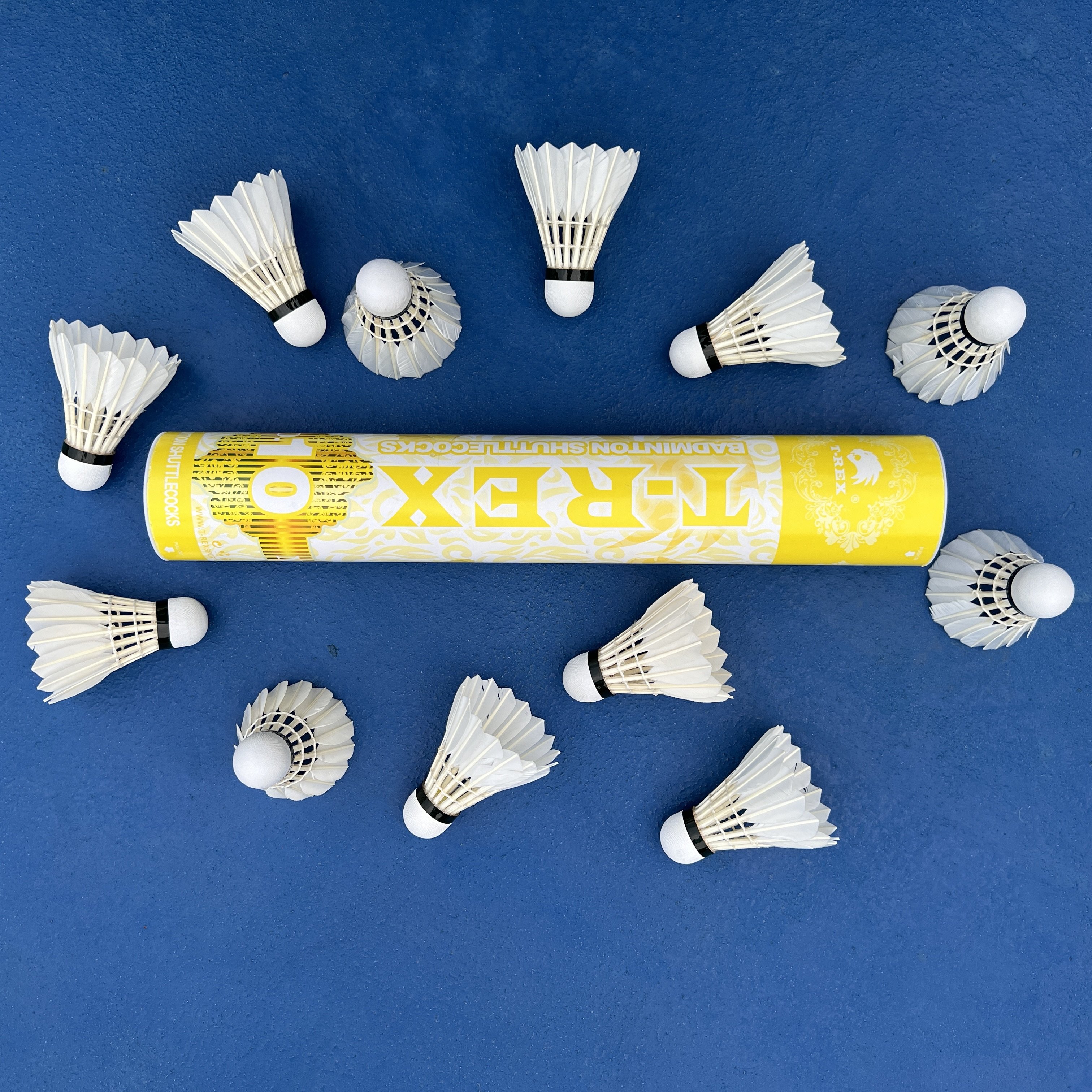 Goose Feather Material Shuttlecock with wholesale factory cheap price
