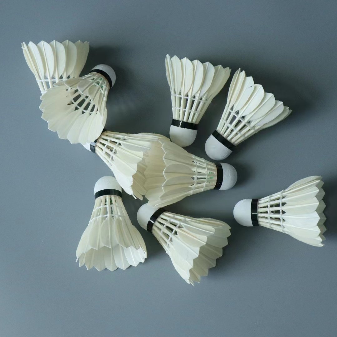Professional Competition Price Shuttlecock G4 Badminton Suitable For professional training