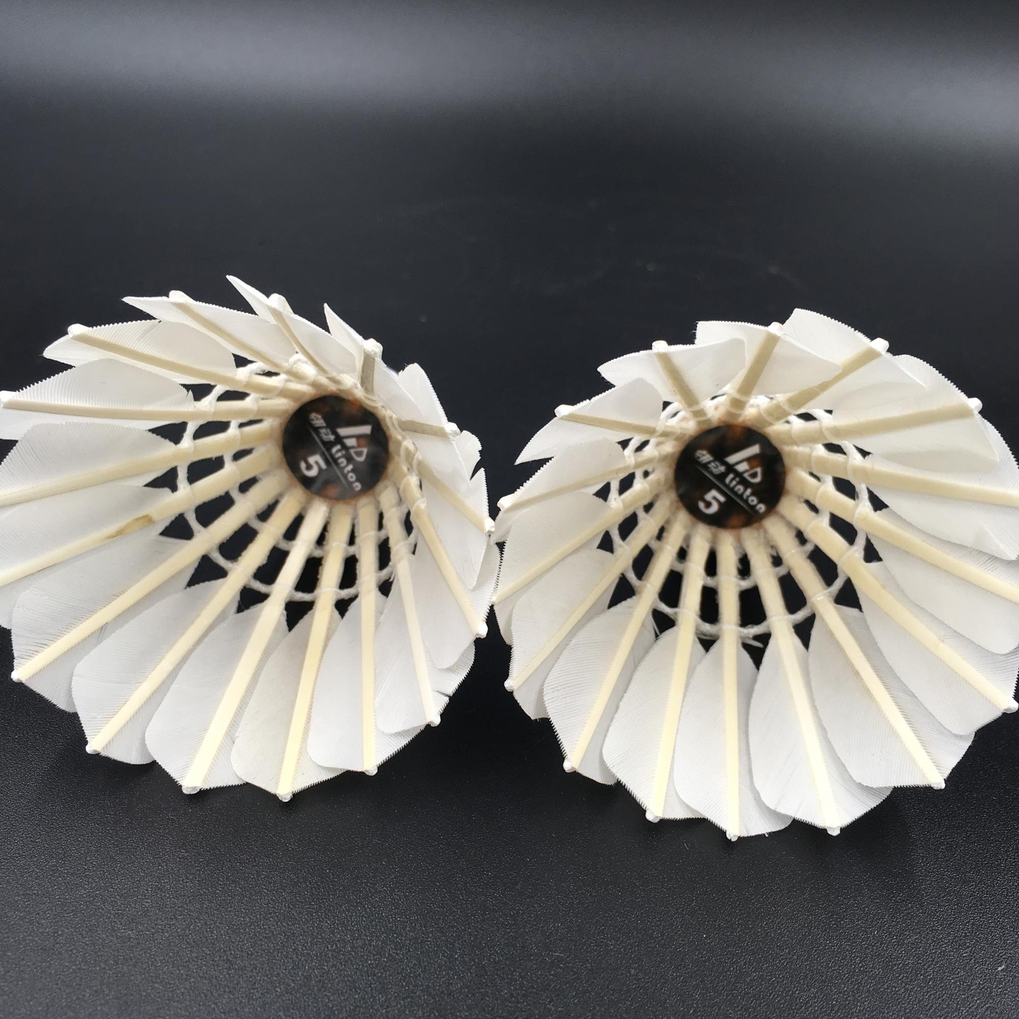 OEM acceptable cheaper shuttlecock in sports & equipment badminton shuttlecock