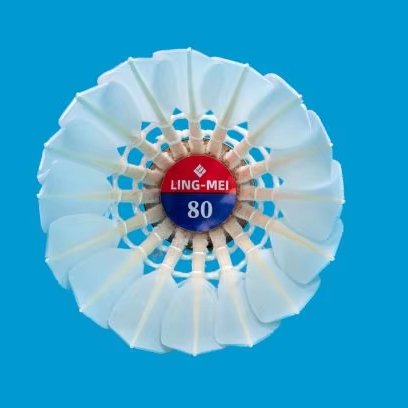Best Most Durable Head 12-piece Chinese Air Goose feather Badminton Professional Training Tournament Shuttlecock