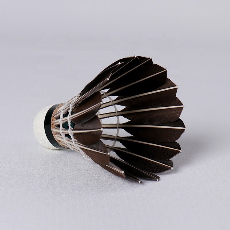 Badminton Wholesale Manufacturer Honkoo Class A Aeroplane Bulk Black Goose Feather Shuttlecock For Tournament