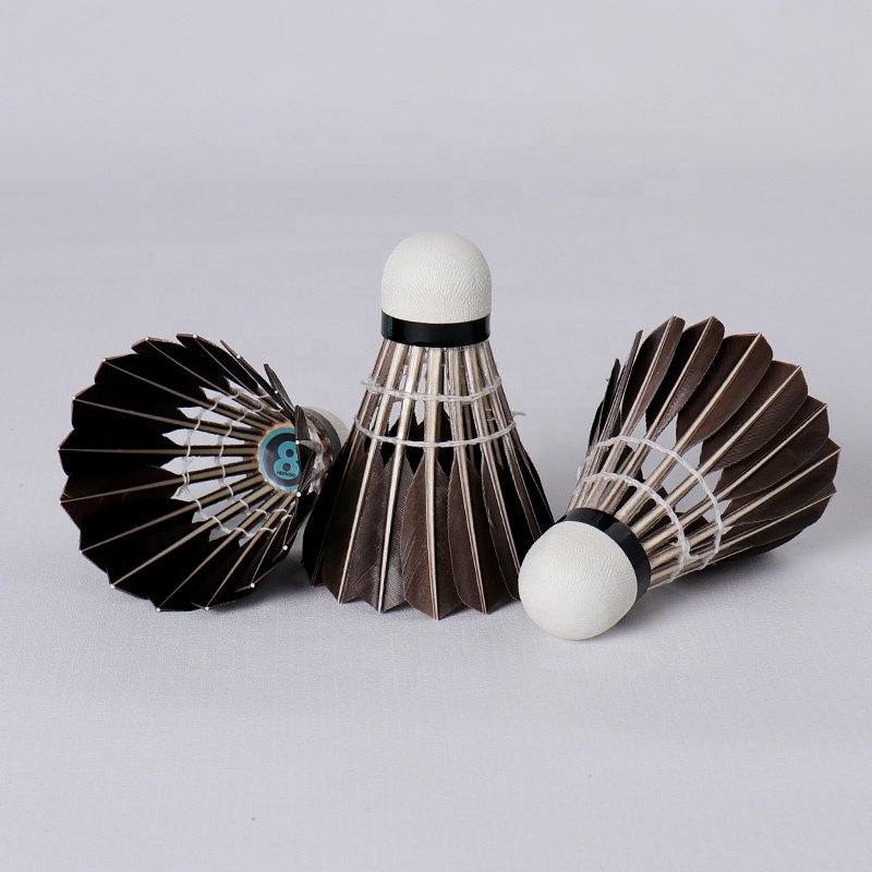 Badminton Wholesale Manufacturer Honkoo Class A Aeroplane Bulk Black Goose Feather Shuttlecock For Tournament
