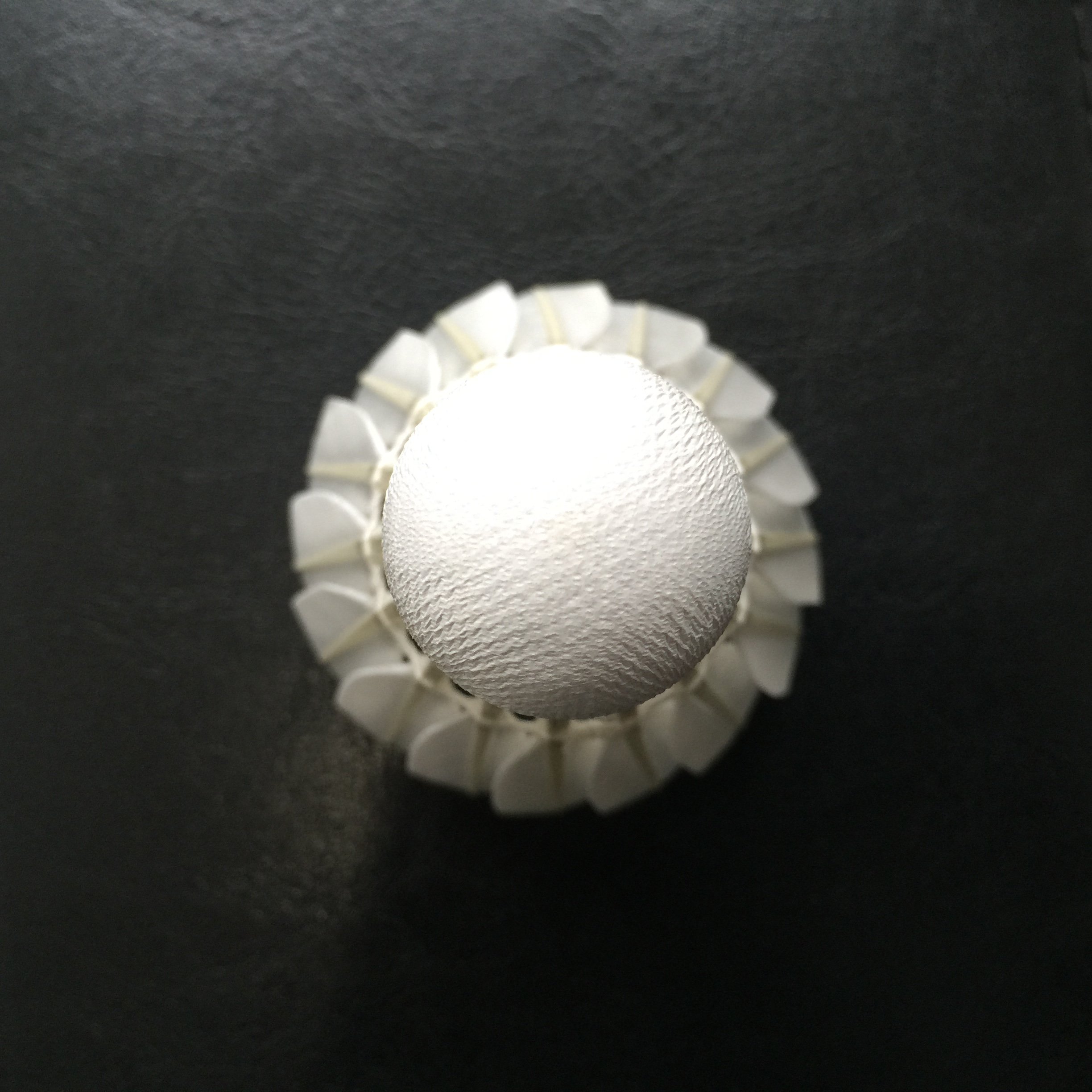 BWF Approved LINGMEI-90 White Goose Feather Badminton Shuttlecocks
