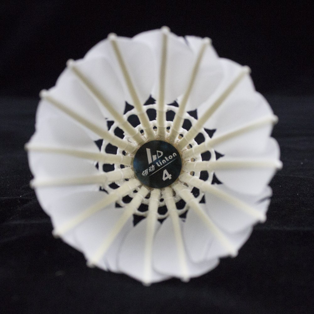 Linton cheap factory wholesale badminton shuttlecock