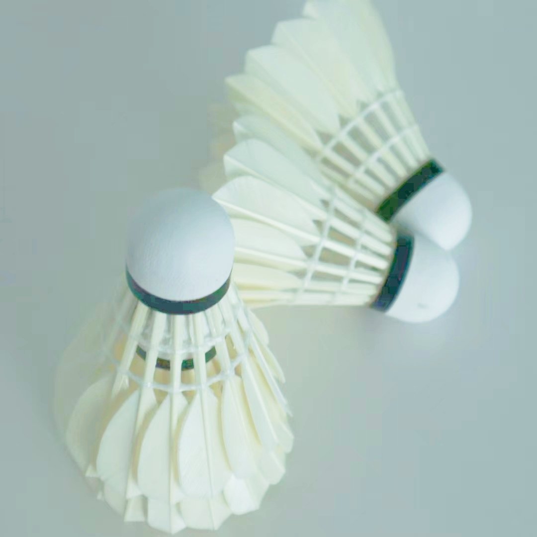 all round class D Goose feather badminton shuttlecock for club use