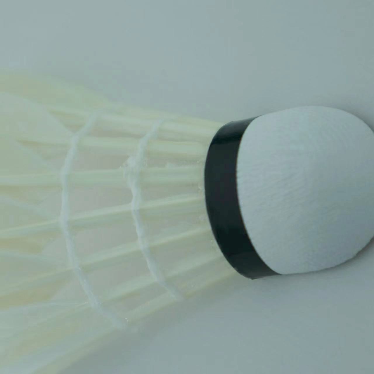 balckwashing class 5 goose feathers with pu cork badminton shuttlecock for training
