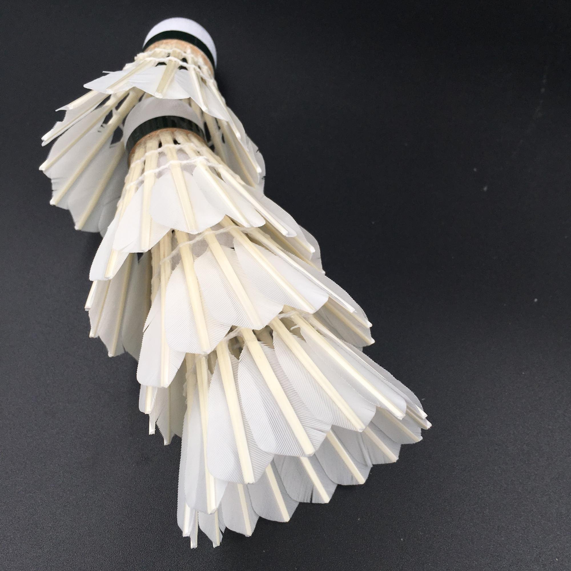 Official badminton manufacturer china wholesale OEM shuttlecock