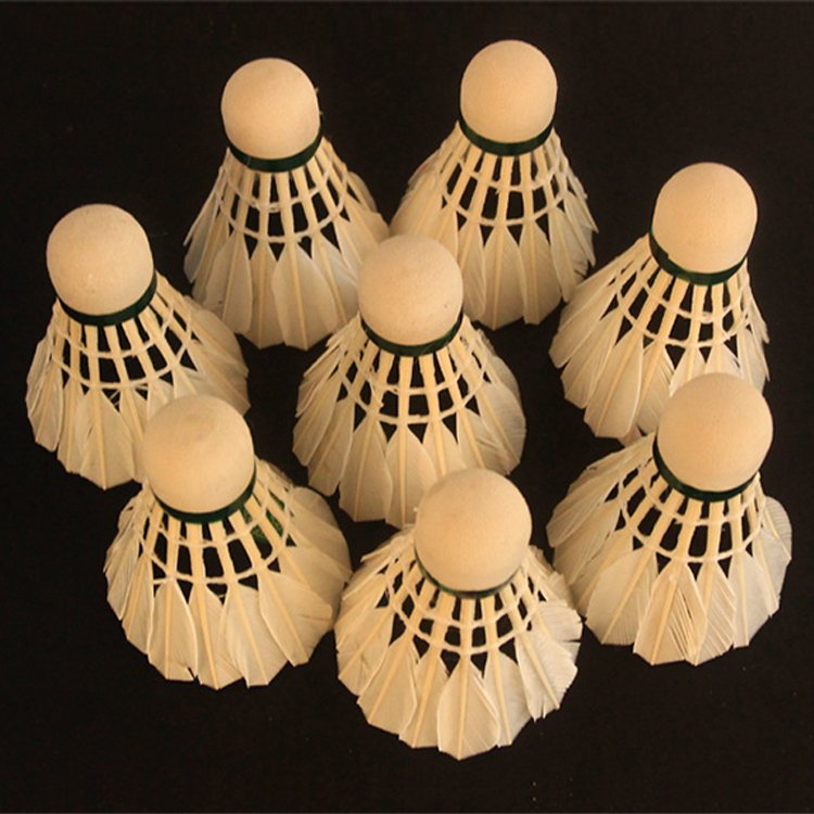6-Pack Badminton Feather Shuttlecock