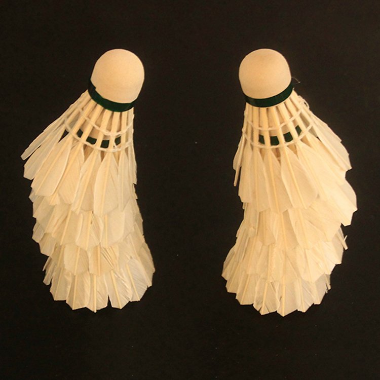6-Pack Badminton Feather Shuttlecock