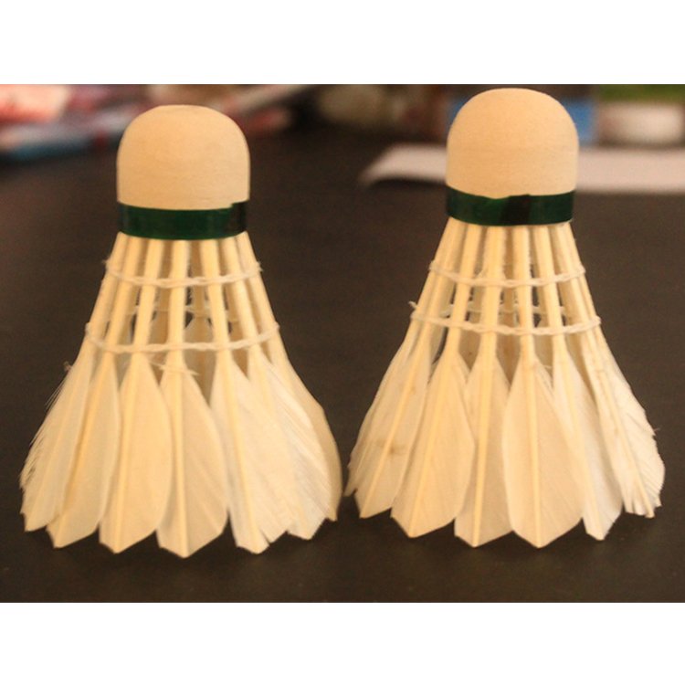 6-Pack Badminton Feather Shuttlecock