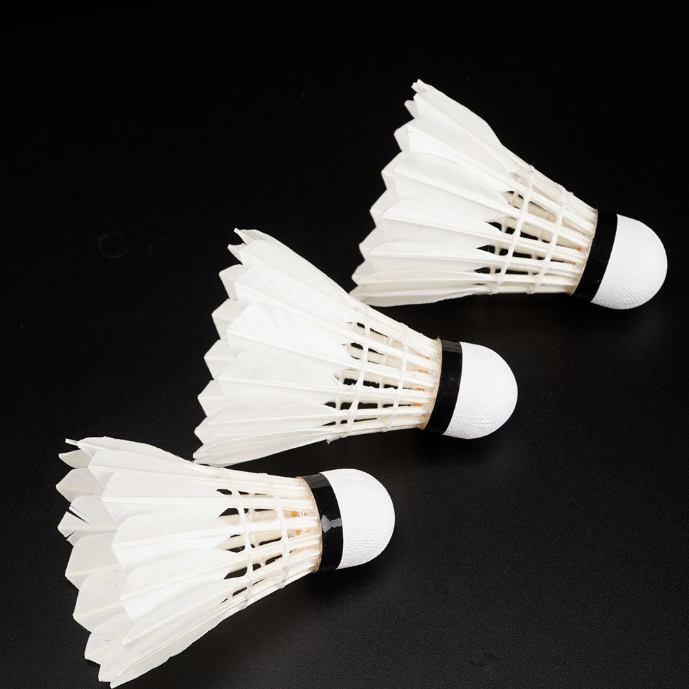 Wprofessional 12pcs high quality protech rsl badminton shuttlecock Chaonell A 6 type malaysia