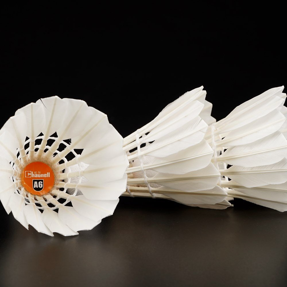 Wprofessional 12pcs high quality protech rsl badminton shuttlecock Chaonell A 6 type malaysia