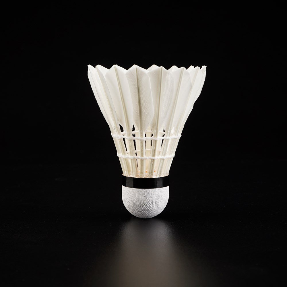 Wprofessional 12pcs high quality protech rsl badminton shuttlecock Chaonell A 6 type malaysia