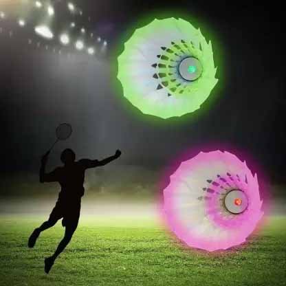 Different color Shuttlecock 2020 New Arrival 6pcs Set Super Durable 5g White OEM Head Feather Training shuttle cock