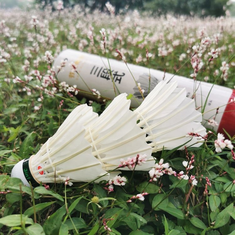 Flex Goose Feather 3in1 Hybrid Shuttlecock High Quality Cheap Goose Feather Shuttlecock Gym Training Badminton Shuttles