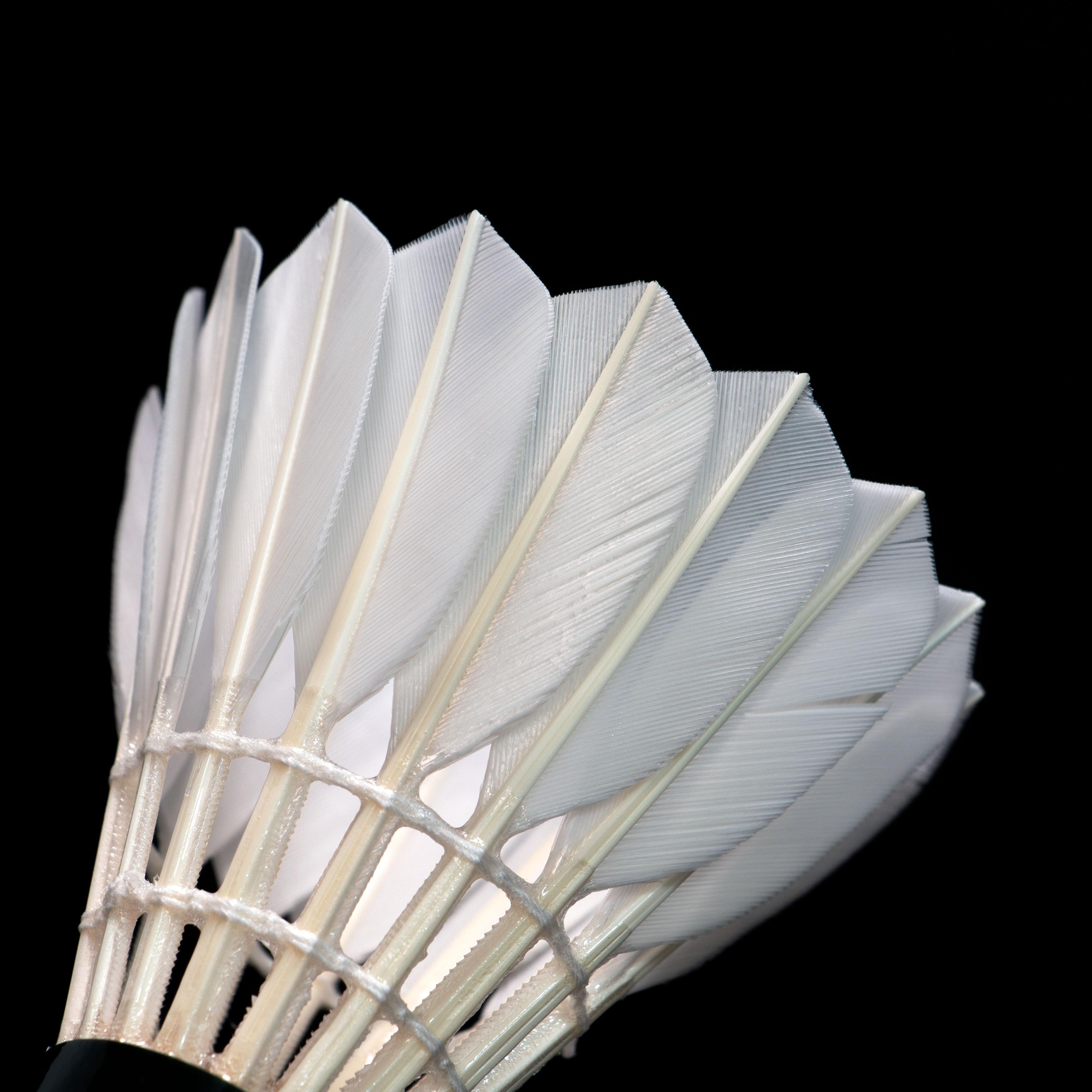 Wholesale Premium Goose Feather Badminton Shuttlecock LINGMEI 70PRO For Pros as RSL as Lining