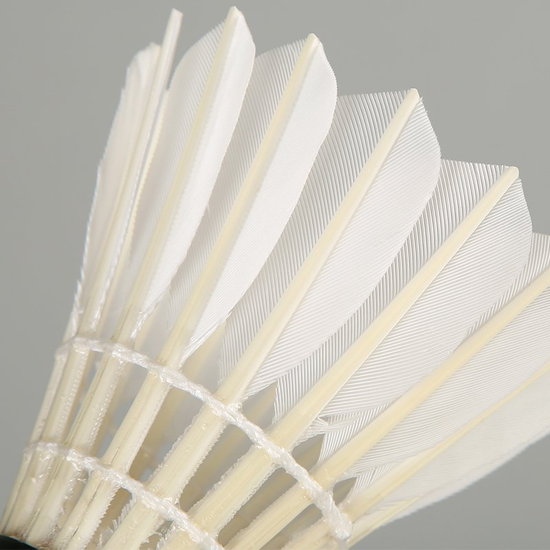 Premium Quality Goose Feather Shuttlecock Badminton With Good Flight & Durability