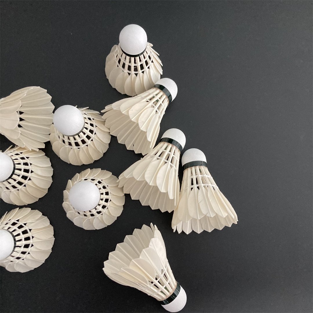 Tournament Grade Goose Feather Badminton Shuttle Cock Speed 77 Shuttlecock