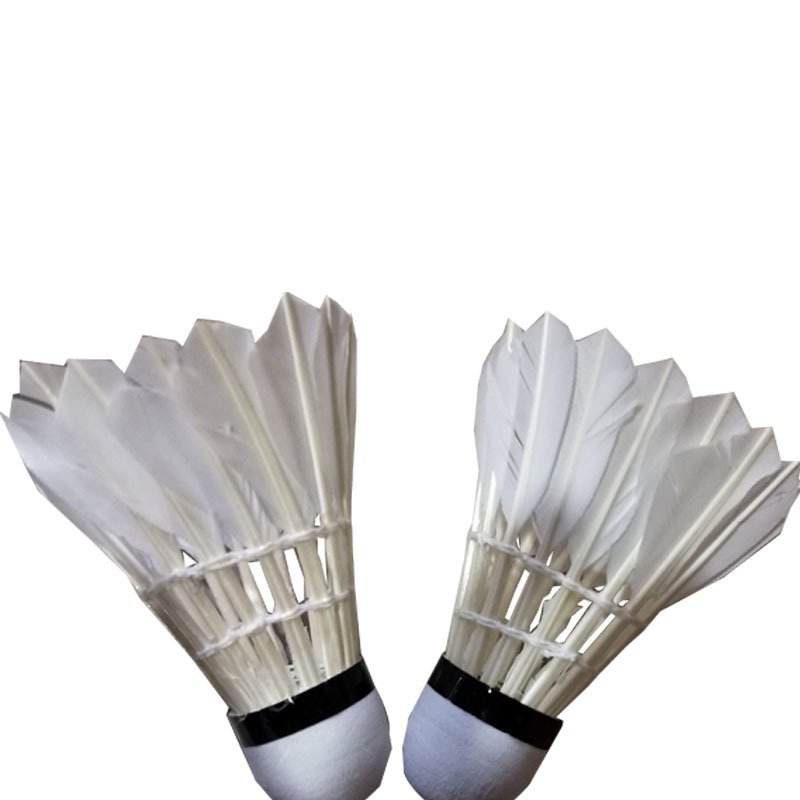 Training Sports Shuttlecocks Goose Feather Ball Sports Game Badminton