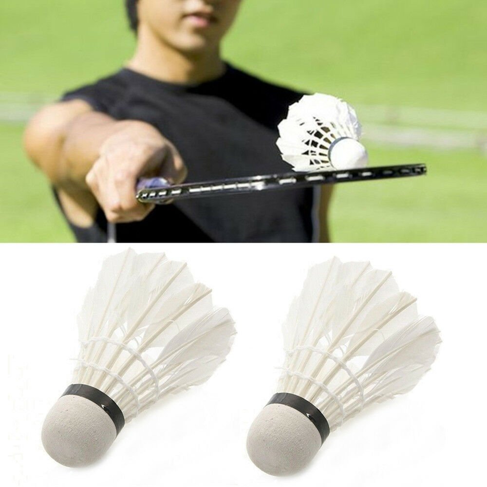 Training Sports Shuttlecocks Goose Feather Ball Sports Game Badminton