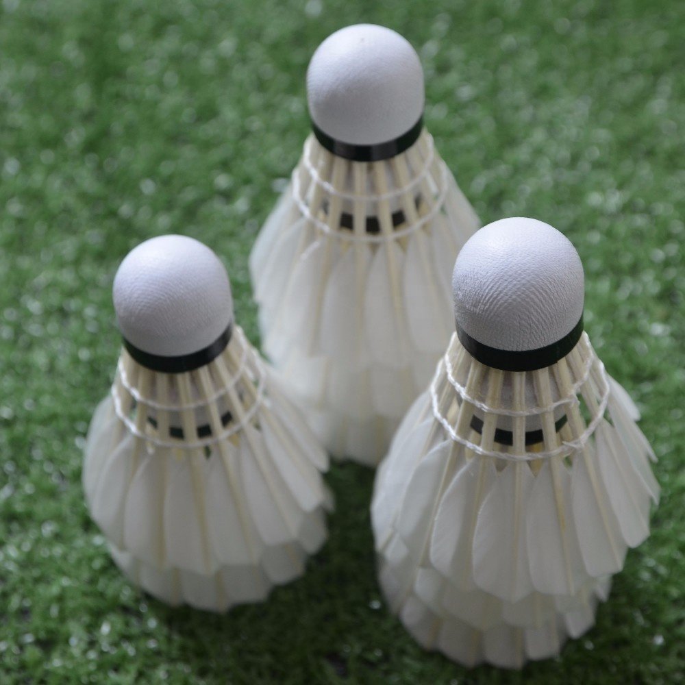 Value for money Wholesale Shuttle badminton shuttlecock lingmei 40