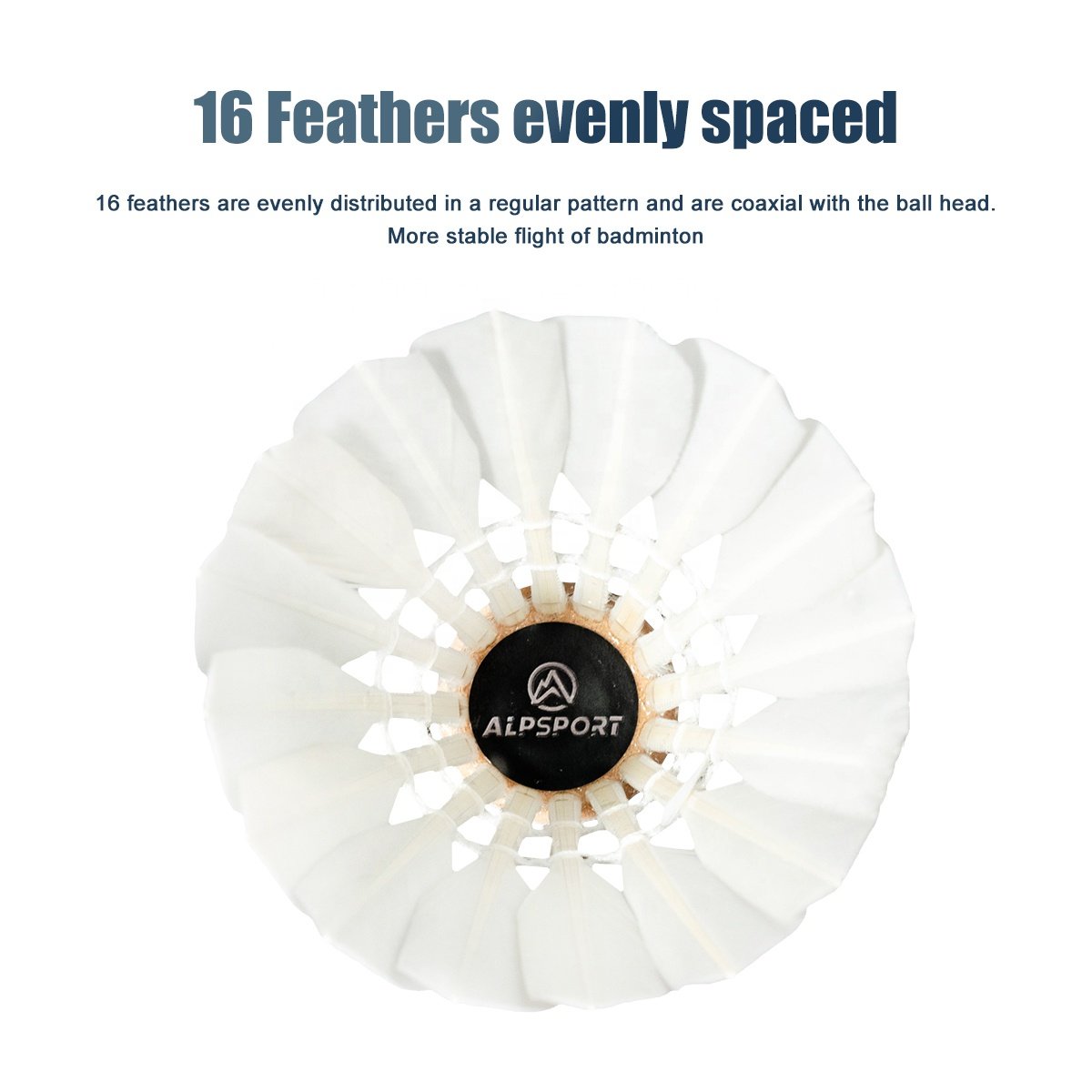 SSS-01 Goose Feather Badminton Shuttlecocks 12pcs/Tube Dragon Design Stable&Durability Speed 77 for Outdoor Indoor Sport