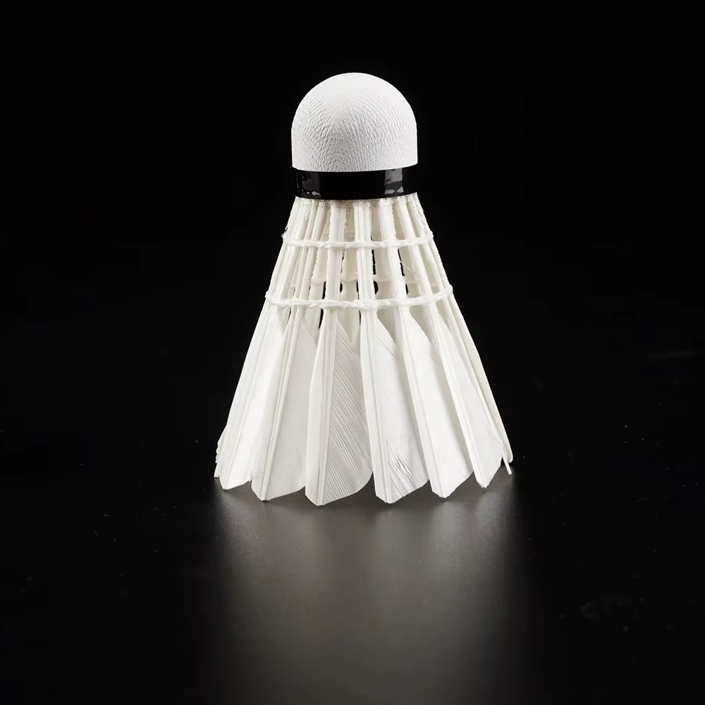 Durable Badminton Shuttlecock for Beginner Player Duck Feather single side feather
