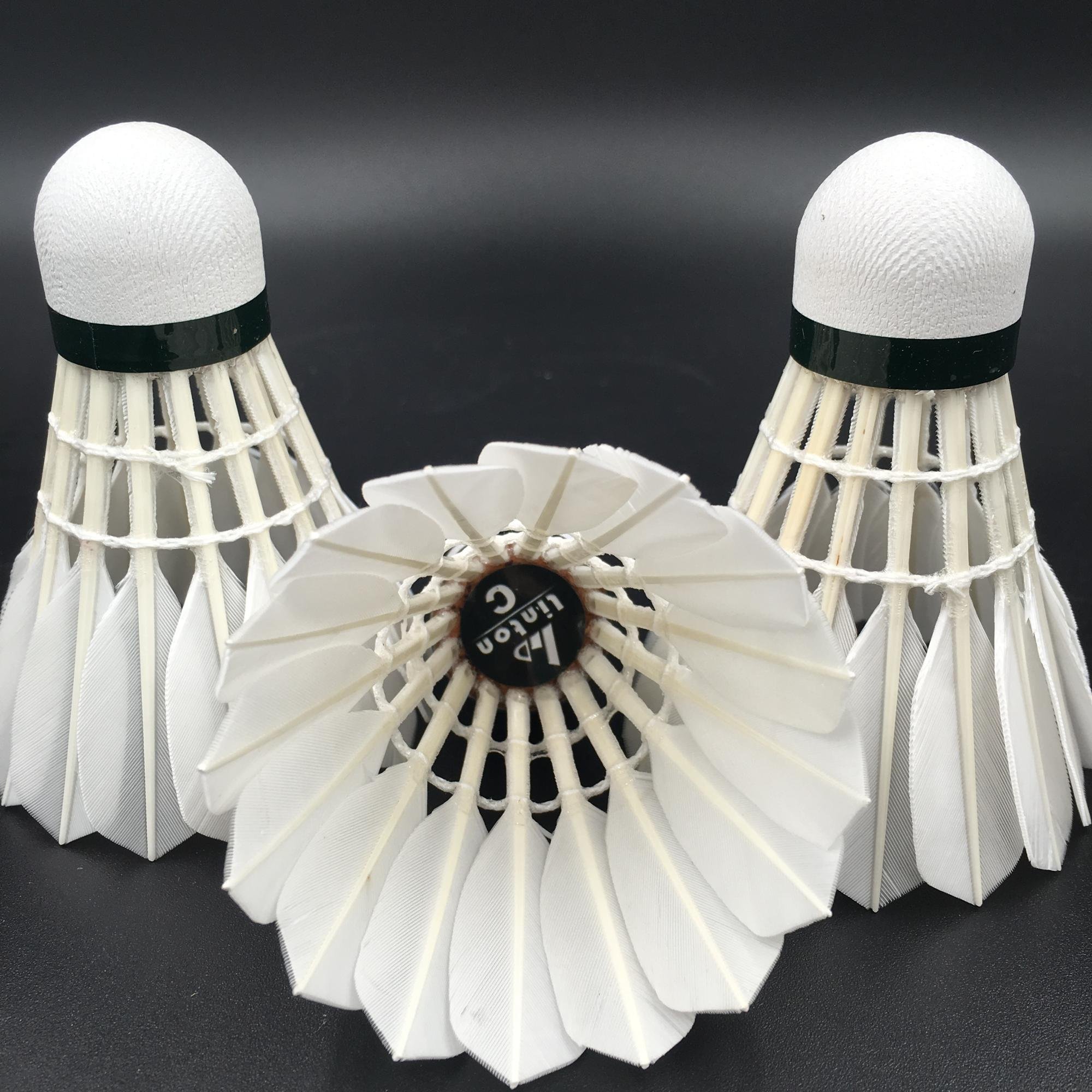Wholesale First-class Factory Direct Sale Badminton as Lintonshuttlecock eg113 At Hefei