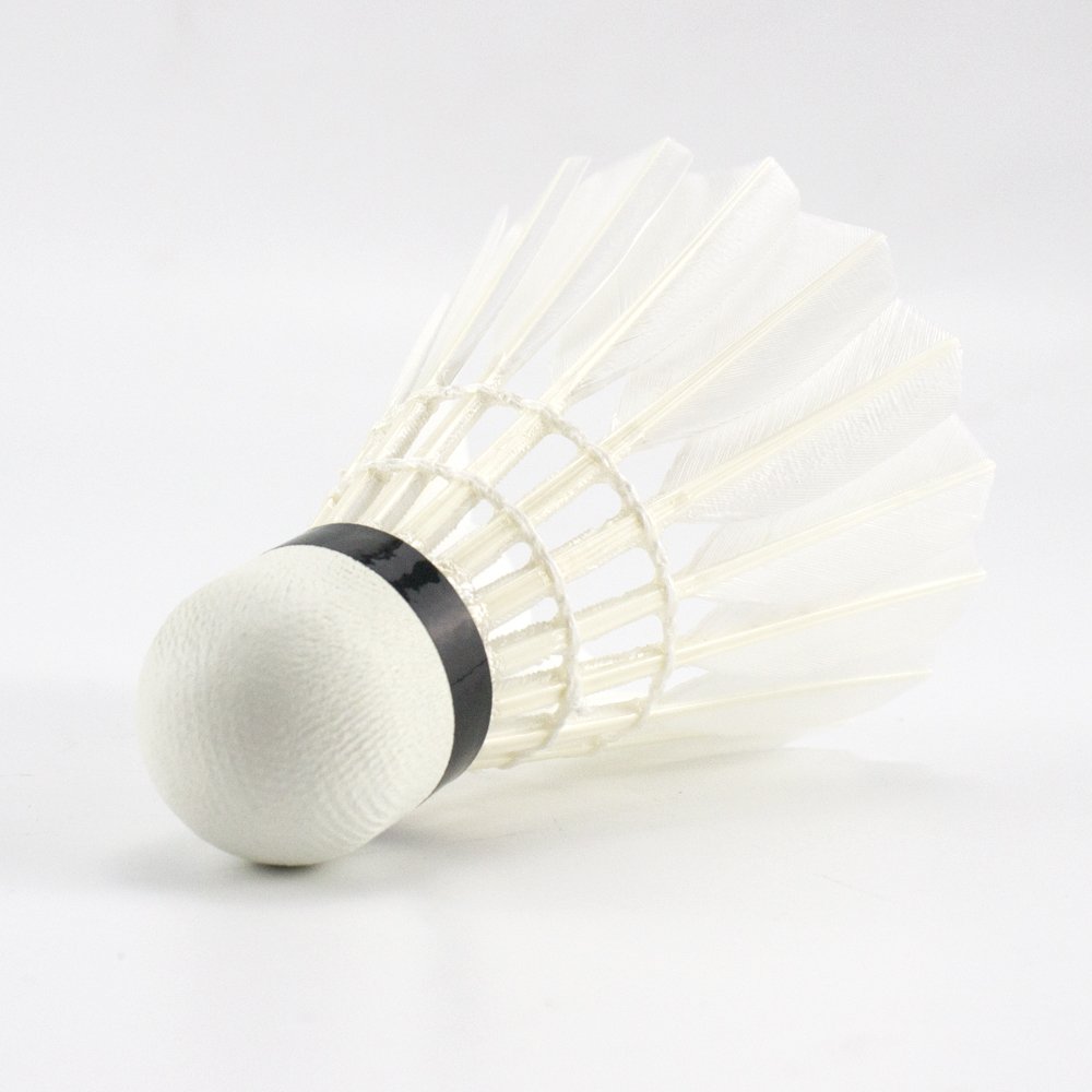 Wholesale First-class Factory Direct Sale Badminton as Lintonshuttlecock eg113 At Hefei
